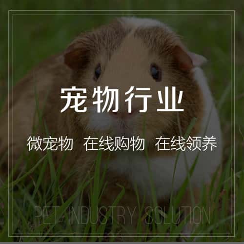 潜江宠物